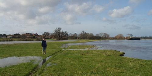 coverpic036.jpg - 18Kb