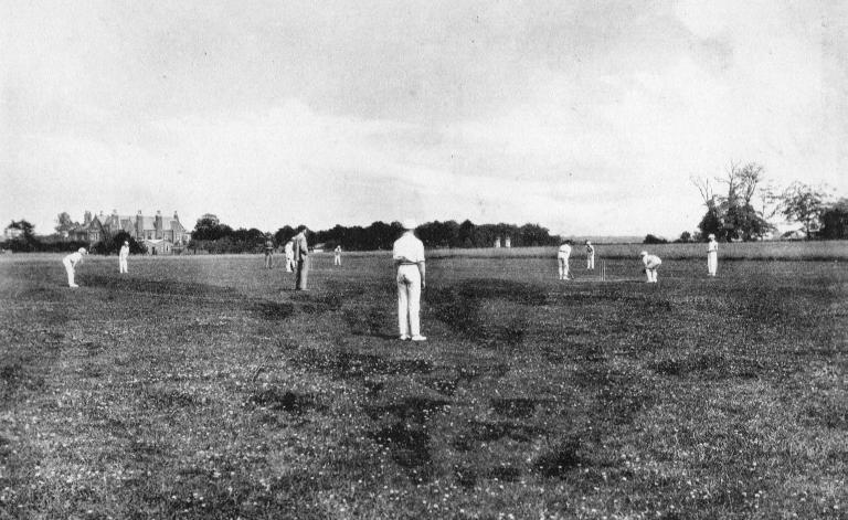 06cricket.jpg - 72Kb