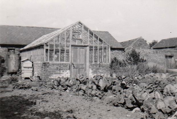 003greenhouse.jpg - 47Kb