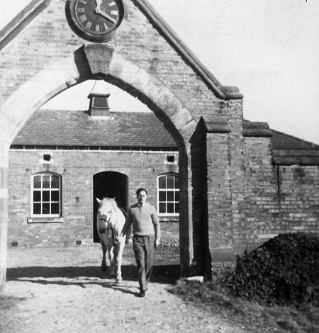 leadingpony.jpg - 39Kb