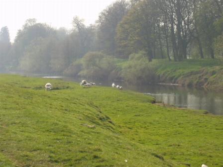 coverpic001.jpg - 21Kb