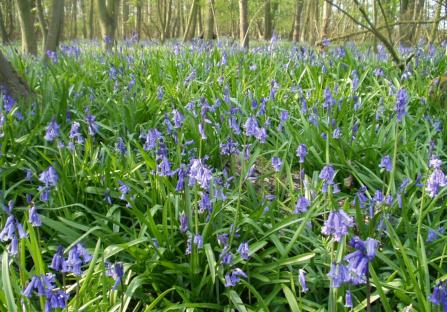 coverpic002.jpg - 44Kb