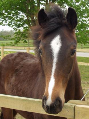 coverpic003.jpg - 24Kb