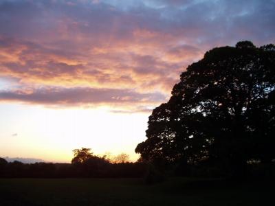 coverpic005.jpg - 13Kb