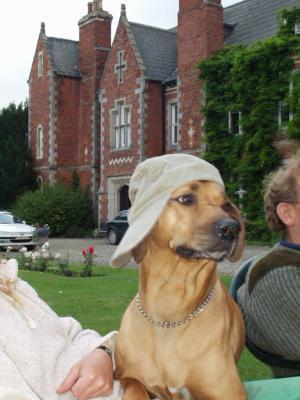 coverpic013.jpg - 22Kb