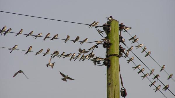 coverpic016.jpg - 22Kb