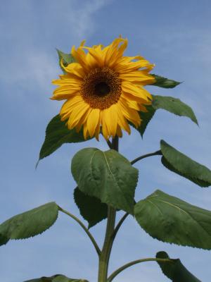 coverpic022.jpg - 15Kb