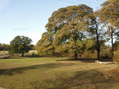 coverpic025.jpg - 26Kb