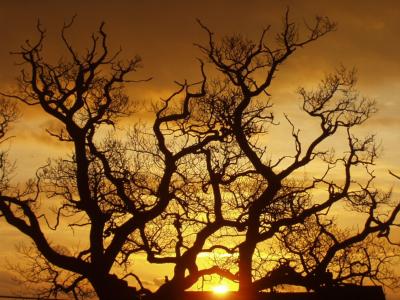 coverpic032.jpg - 32Kb