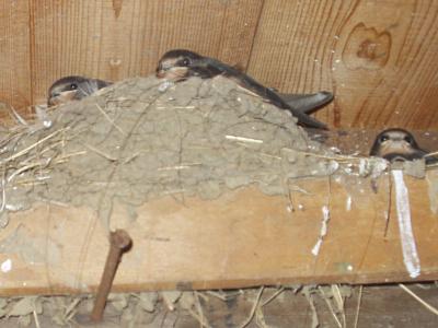 coverpic052.jpg - 20Kb