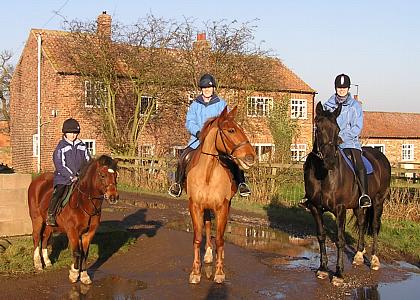 coverpic073.jpg - 38Kb