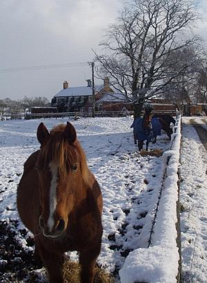 coverpic076.jpg - 30Kb