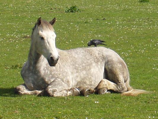 coverpic083.jpg - 45Kb