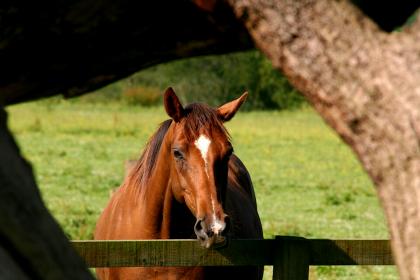 coverpic090.jpg - 17Kb