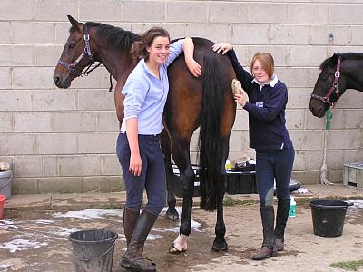 coverpic091.jpg - 29Kb