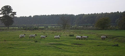 coverpic097.jpg - 40Kb