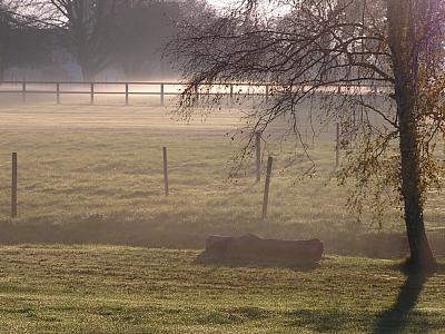 coverpic103.jpg - 30Kb