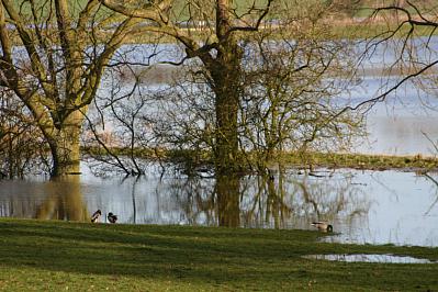 coverpic114.jpg - 33Kb