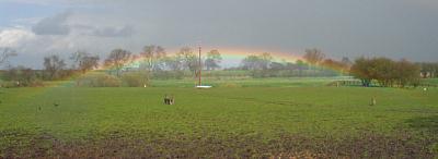 coverpic117.jpg - 9Kb