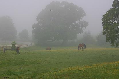 coverpic120.jpg - 12Kb