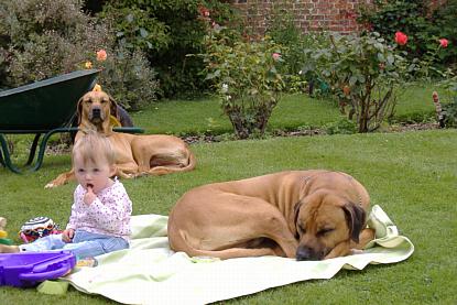 coverpic124.jpg - 31Kb