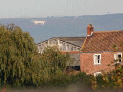 coverpic133.jpg - 20Kb