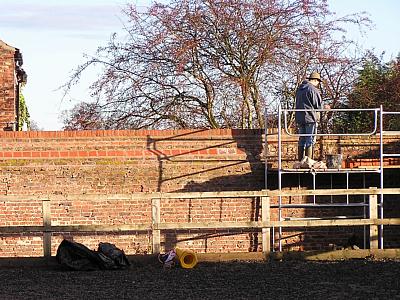 coverpic135.jpg - 44Kb