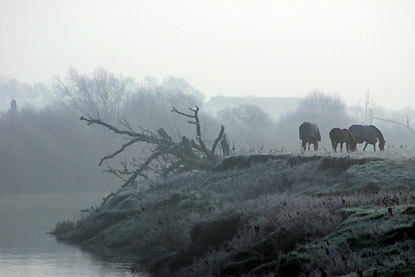 coverpic136.jpg - 9Kb