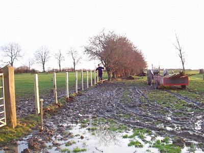 coverpic137.jpg - 28Kb