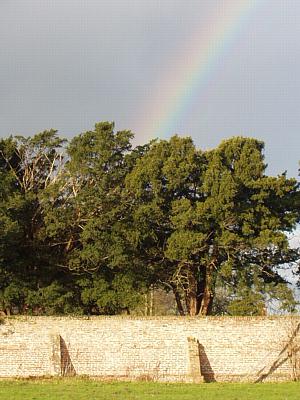 coverpic138.jpg - 29Kb