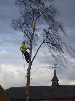 coverpic145.jpg - 21Kb