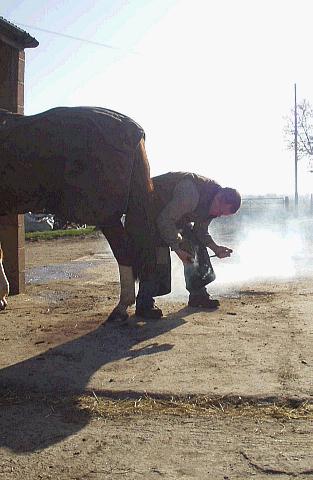 coverpic146.jpg - 29Kb