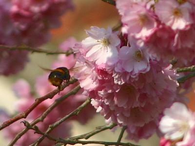 coverpic149.jpg - 19Kb