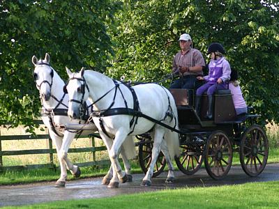 coverpic164.jpg - 38Kb