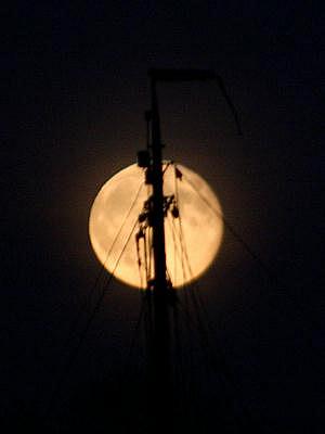 coverpic181.jpg - 8Kb