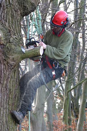 coverpic188.jpg - 40Kb