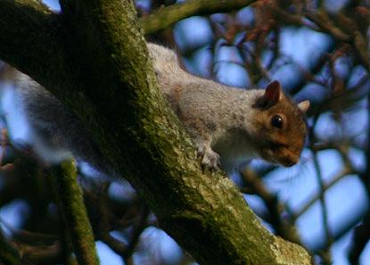 coverpic189.jpg - 22Kb