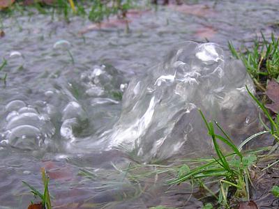 coverpic190.jpg - 24Kb