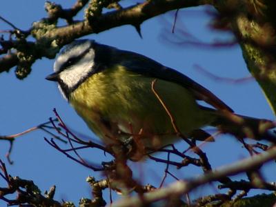 coverpic191.jpg - 20Kb