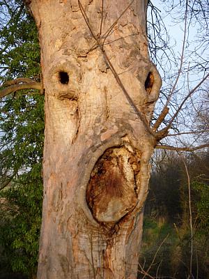 coverpic192.jpg - 38Kb