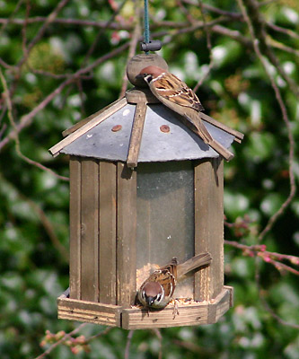 coverpic197.jpg - 72Kb