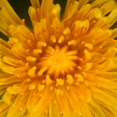 coverpic200.jpg - 23Kb