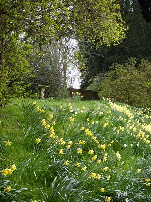 coverpic202.jpg - 45Kb