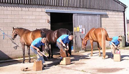 coverpic210.jpg - 34Kb