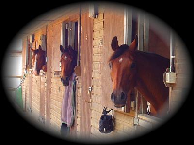 coverpic217.jpg - 38Kb