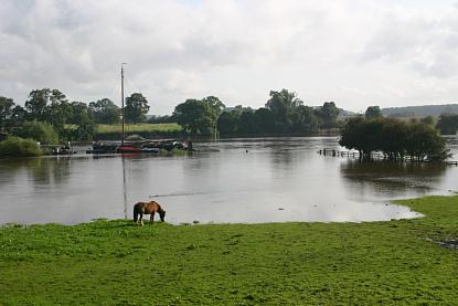 coverpic222.jpg - 19Kb