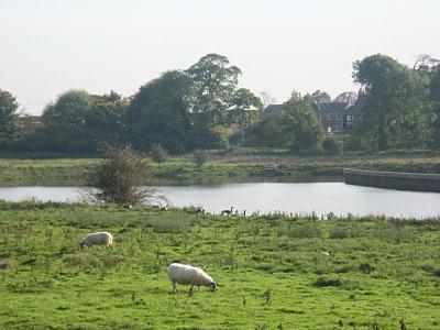 coverpic226.jpg - 22Kb