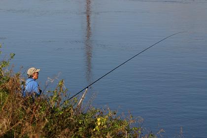 coverpic228.jpg - 18Kb