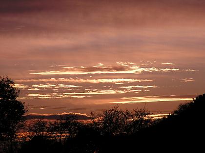 coverpic231.jpg - 18Kb