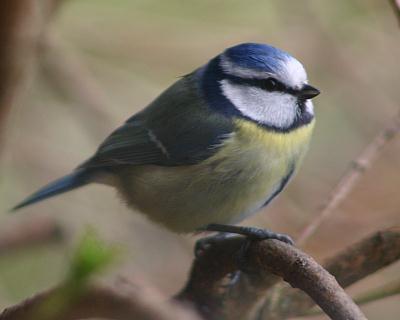 coverpic237.jpg - 12Kb